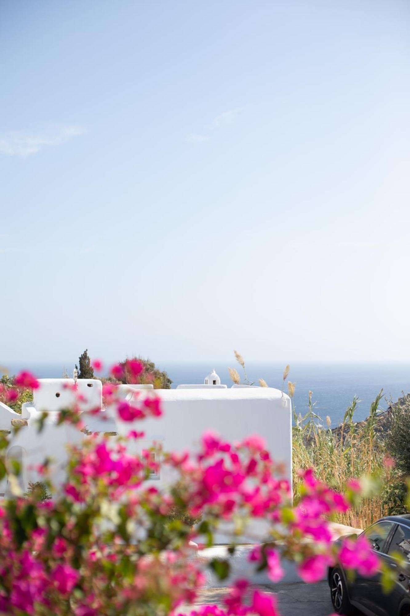Apostolis Windmill Apartment Псару Екстериор снимка